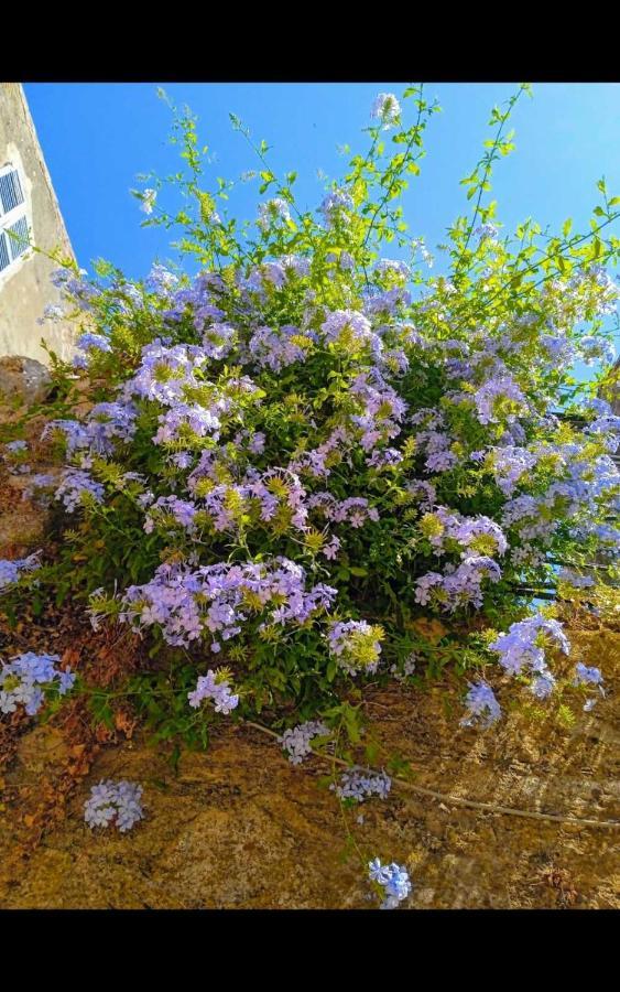 City Walls Sea View Corfu  Exterior photo